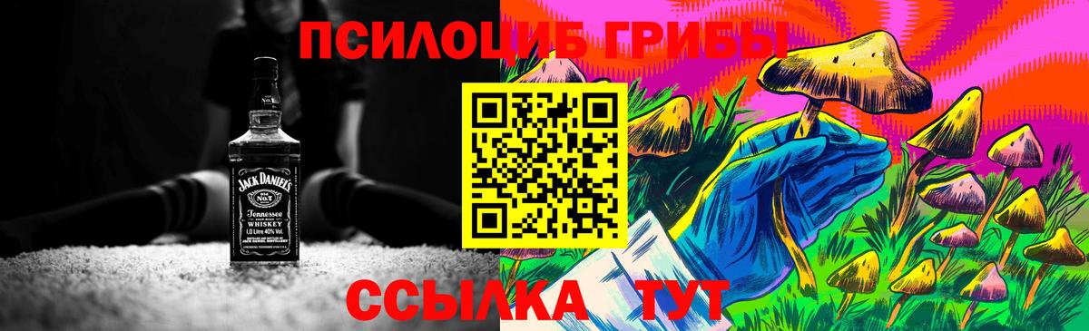 Псилоцибиновые грибы Psilocybe  Псилоцибиновые грибы Psilocybine cubensis  Борисоглебск  Вход с VPN 