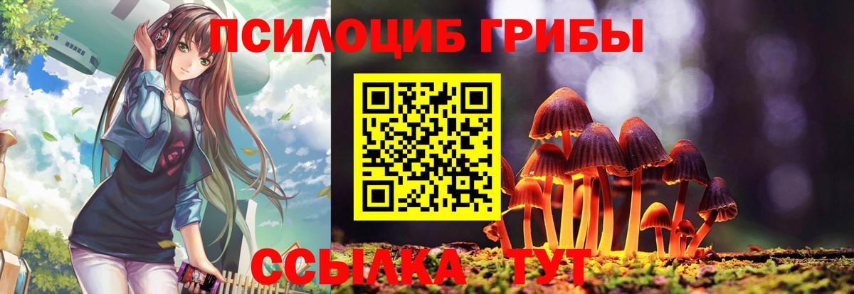 Галлюциногенные грибы GOLDEN TEACHER Борисоглебск